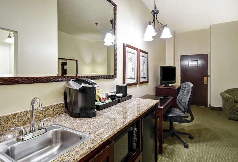 جناح لذوى الاحتياجات الخاصة, Embassy Suites By Hilton Charleston Historic District