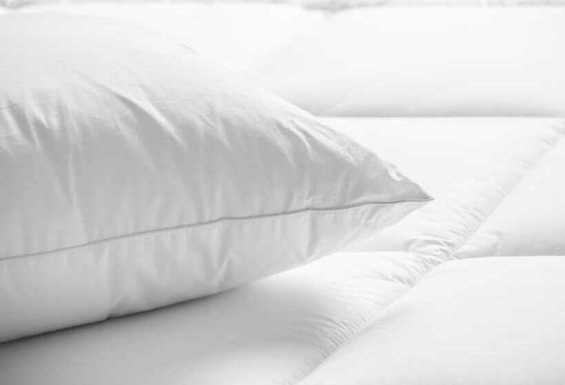 장애인을 위한 스위트, Embassy Suites Hotel Des Moines Downtown