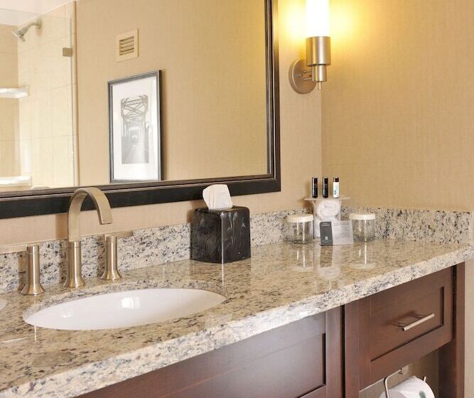 프리미엄 스위트, Embassy Suites Hotel Des Moines Downtown