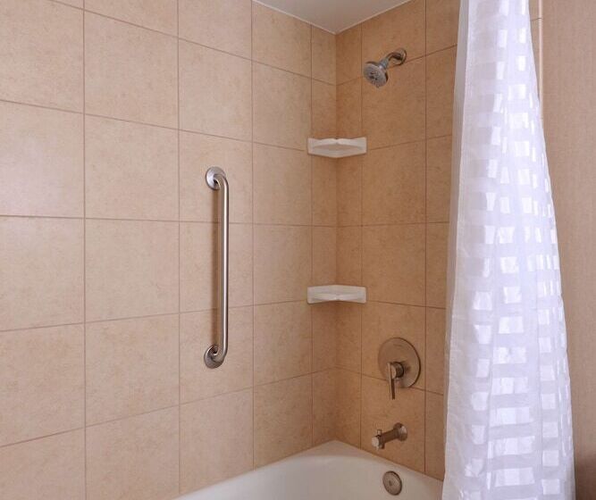 프리미엄 스위트, Embassy Suites Hotel Des Moines Downtown