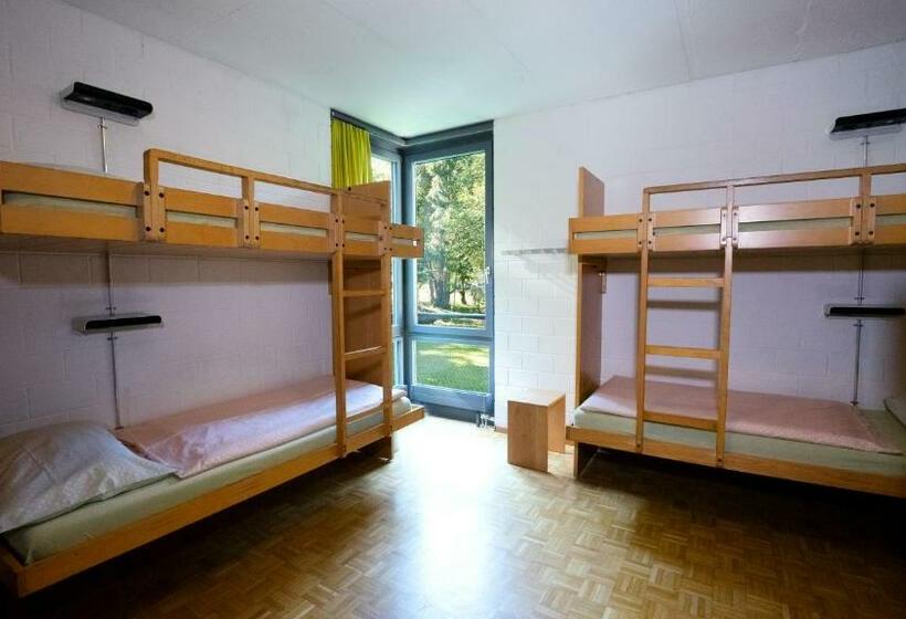 تختخواب در اتاق مشترک, Luzern Youth Hostel