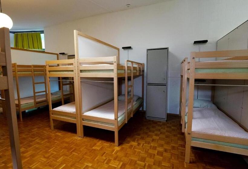 تختخواب در اتاق مشترک, Luzern Youth Hostel