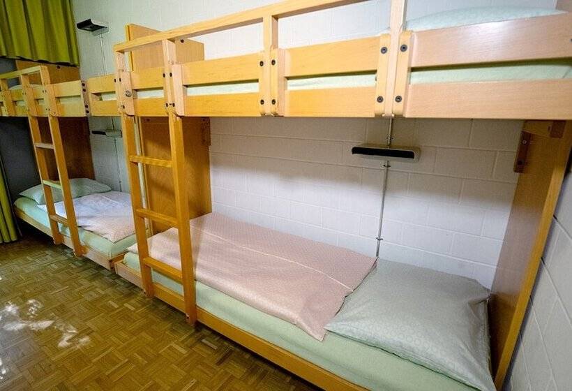اتاق استاندارد چهارنفره با سرویس بهداشتی مشترک, Luzern Youth Hostel
