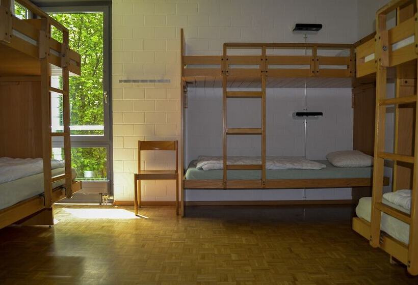 اتاق استاندارد با سرویس بهداشتی مشترک, Luzern Youth Hostel