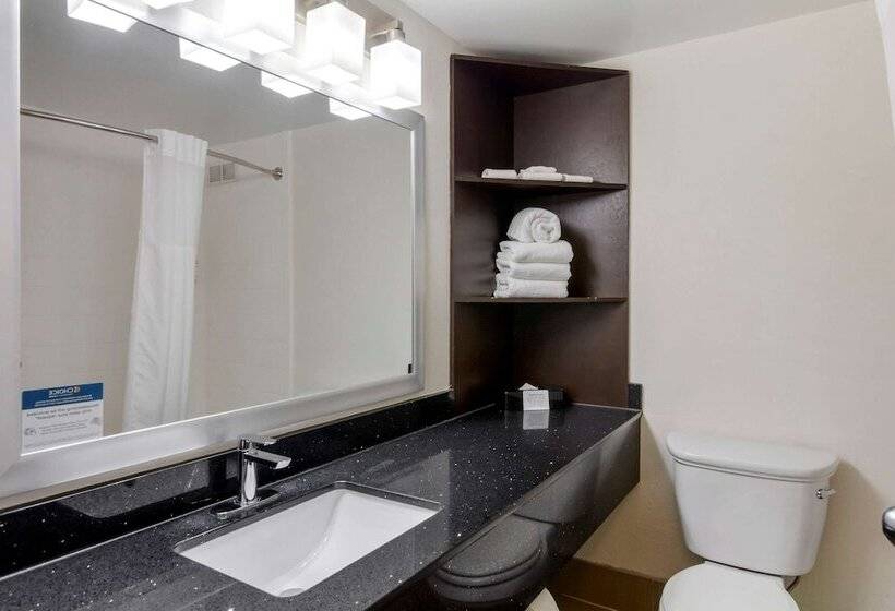 스탠다드 룸 더블 침대 2개, Clarion Pointe Charlottesville