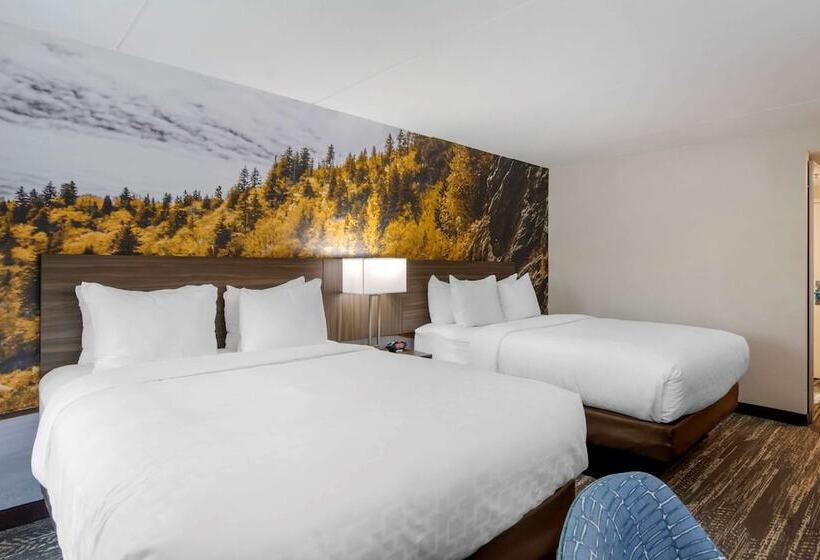 스탠다드 룸 더블 침대 2개, Clarion Pointe Charlottesville