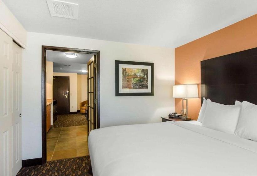 מיטת קינג בסוויטה, Comfort Inn & Suites Ashland