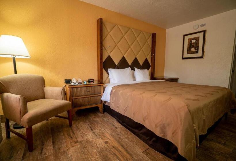 스탠다드 룸 킹사이즈 침대, Quality Inn Florida City  Gateway To The Keys
