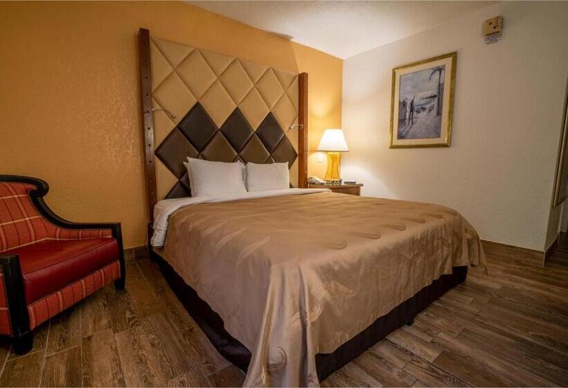 장애인을 위한 킹사이즈 침대 스탠다드 룸, Quality Inn Florida City  Gateway To The Keys