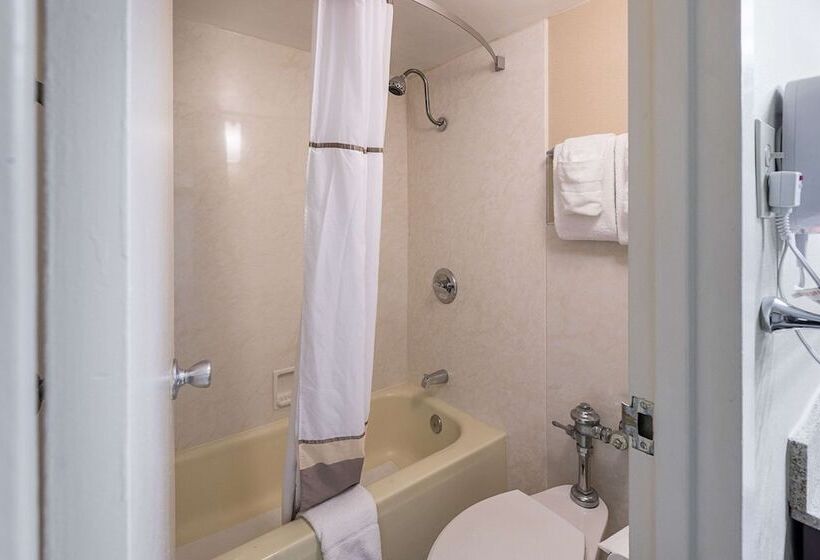 Номер Стандарт 2 Двуспальные Кровати, Quality Inn University Lansing