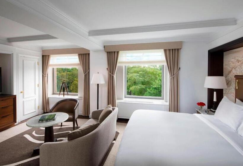 اتاق استاندارد با تخت بزرگ, The Ritz Carlton New York, Central Park