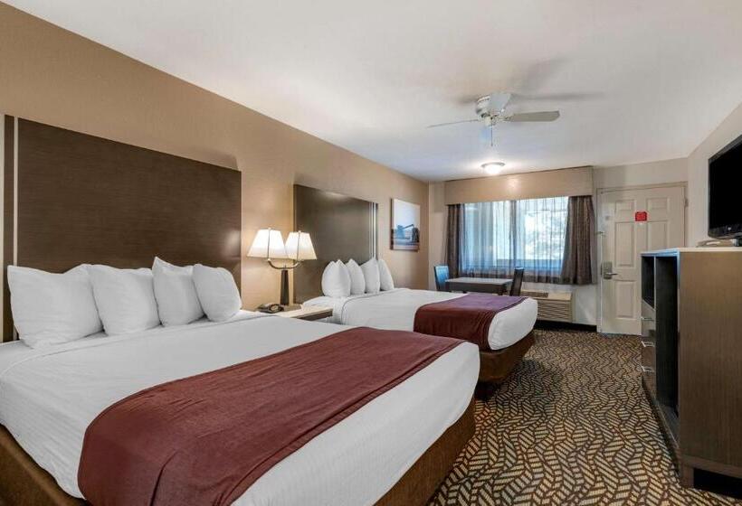 商务房间, Best Western Orchard Inn