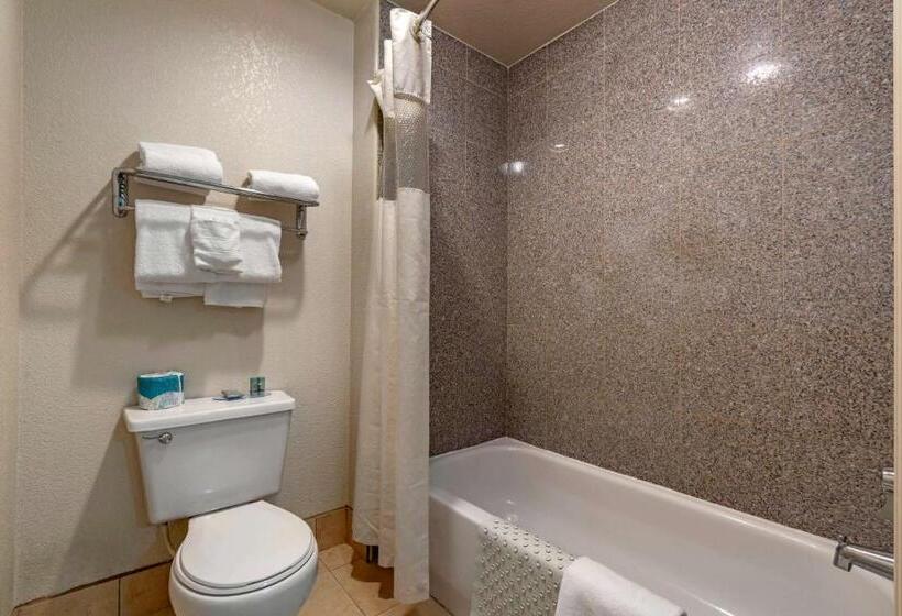 带大床的标准间, Best Western Orchard Inn