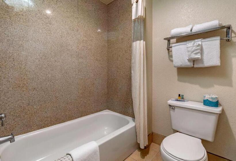 豪华房间, Best Western Orchard Inn