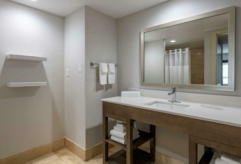带大床的标准间, Comfort Inn & Suites Downtown Brickell Port Of Miami