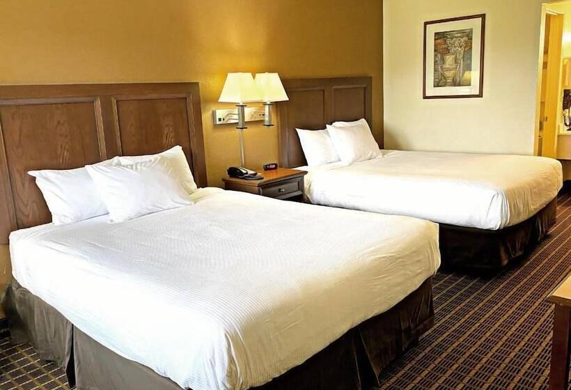 Номер Стандарт Адаптированный для Инвалидов, Roadstar Hotel Zephyrhills