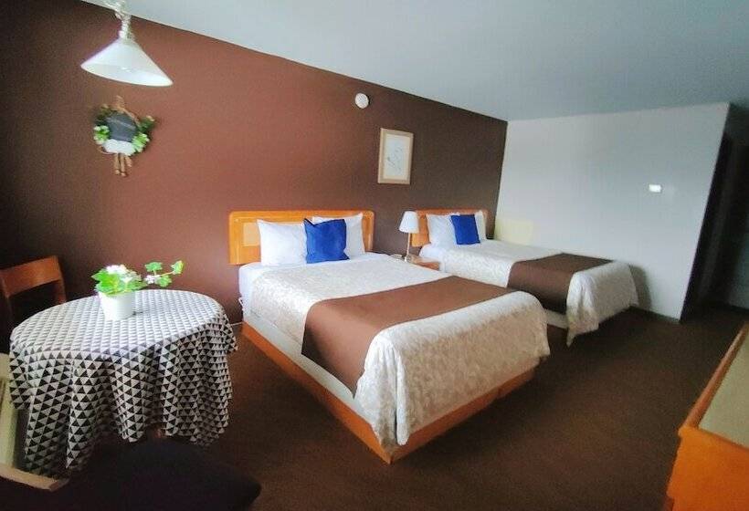 Номер Стандарт, Motel Le Radisson De Val David