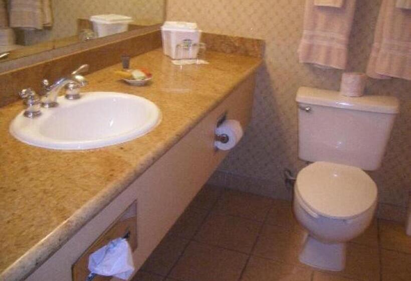 اتاق استاندارد, Golden Nugget Laughlin