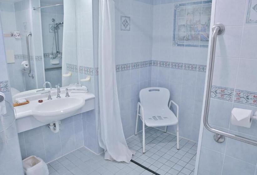 장애인을 위한 킹사이즈 침대 스탠다드 룸, Central Park Motel