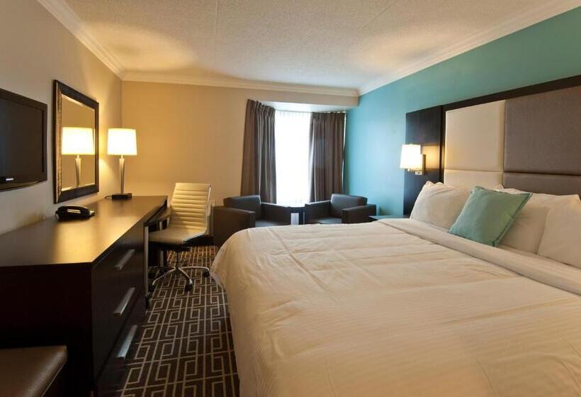 اتاق استاندارد با تخت بزرگ, Visitor S Inn