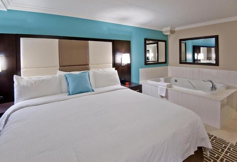 سوئیت جونیور با ماساژ آبی, Visitor S Inn