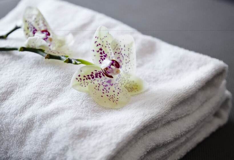 اتاق استاندارد یک نفره, Milling Hotel Søpark