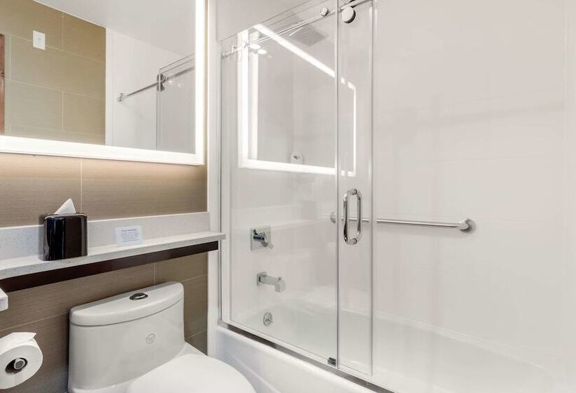 Номер Стандарт 2 Двуспальные Кровати, Comfort Inn Prospect Parkbrooklyn