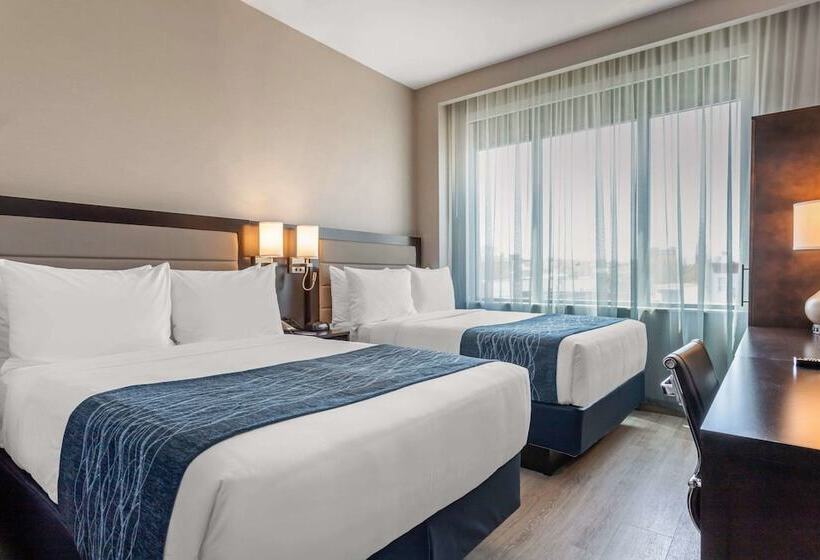 Номер Стандарт 2 Двуспальные Кровати, Comfort Inn Prospect Parkbrooklyn