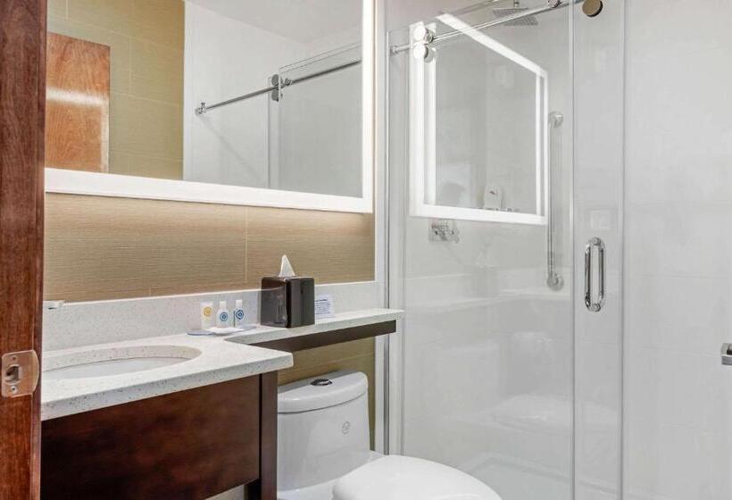 Номер Стандарт 2 Двуспальные Кровати, Comfort Inn Prospect Parkbrooklyn