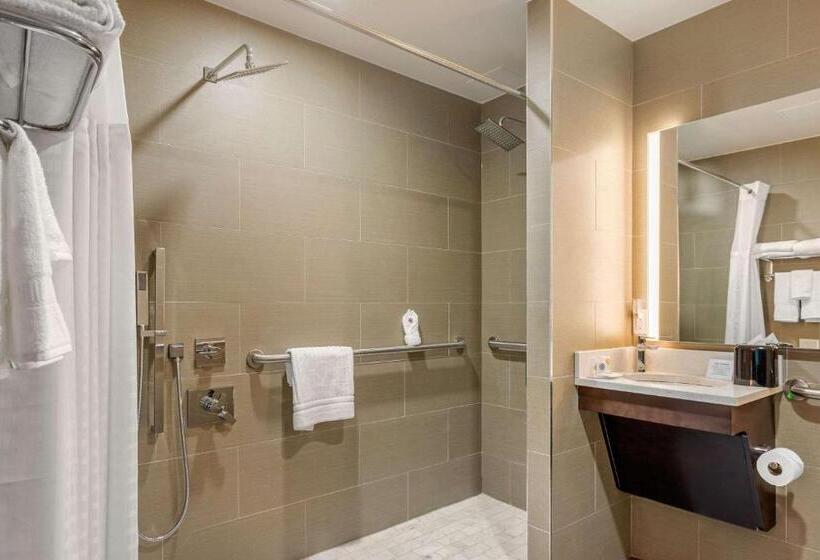 Номер Стандарт Адаптированный для Инвалидов, Comfort Inn Prospect Parkbrooklyn