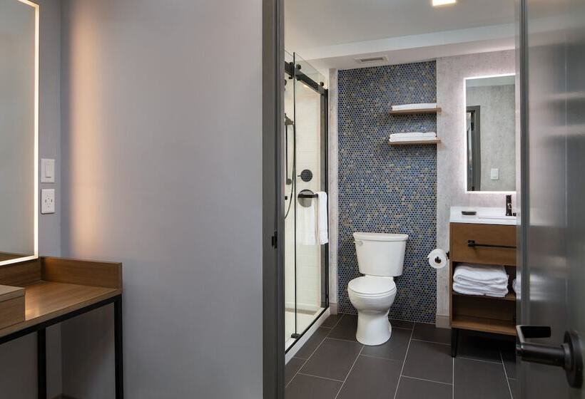适合残疾人士使用的套间, Indigo Chattanooga   Downtown, An Ihg