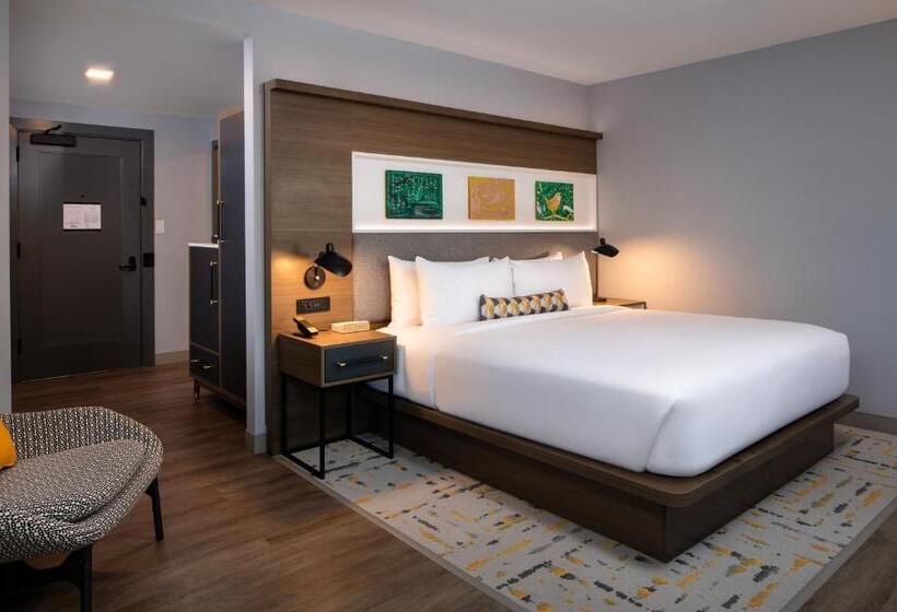 适用于残疾人士的豪华房间, Indigo Chattanooga   Downtown, An Ihg