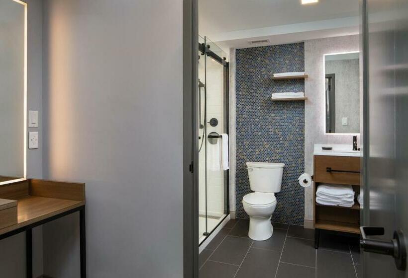 带大床的套房, Indigo Chattanooga   Downtown, An Ihg