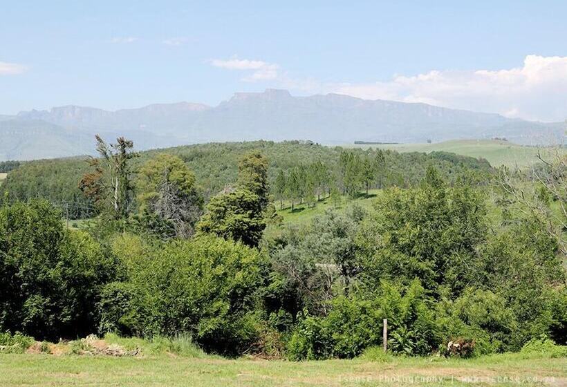 Апартаменты Basic 1 Спальня, The Nest Drakensberg Mountain Resort
