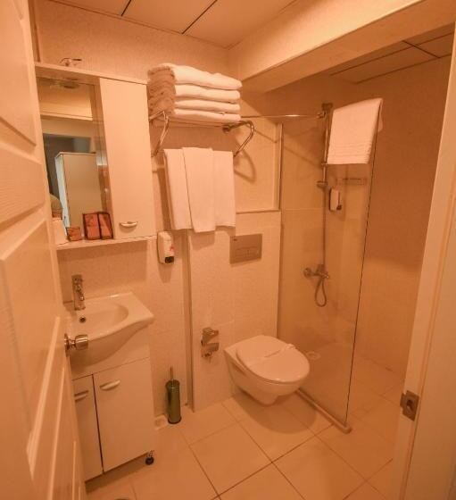 اتاق استاندارد با تراس, Parion House