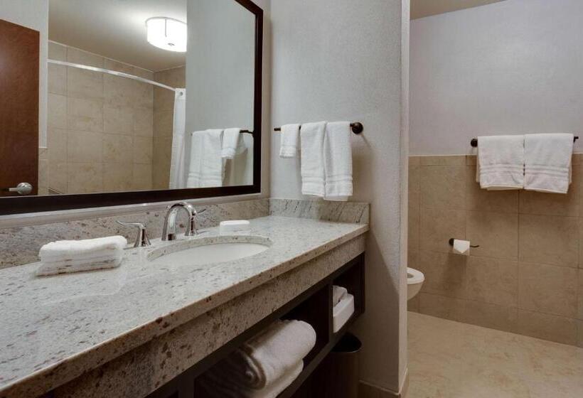 Люкс Superior, Drury Plaza Hotel Cape Girardeau Conference Center