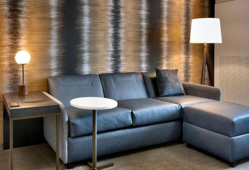 Люкс Кровать Кинг, Residence Inn By Marriott Provo South University