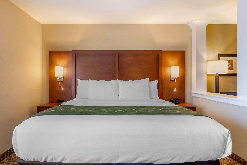 キングサイズベッドのスイートルーム, Comfort Inn & Suites Schenectady Scotia