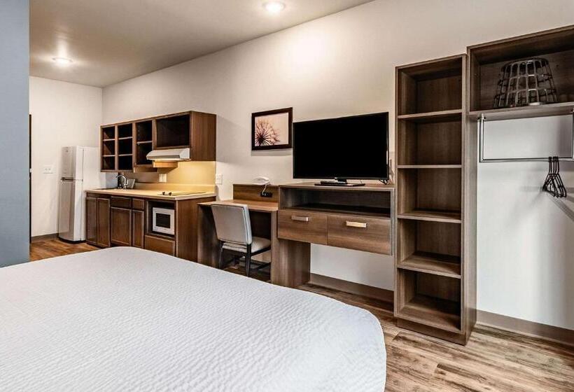 Студия Стандарт, Woodspring Suites Indianapolis Zionsville