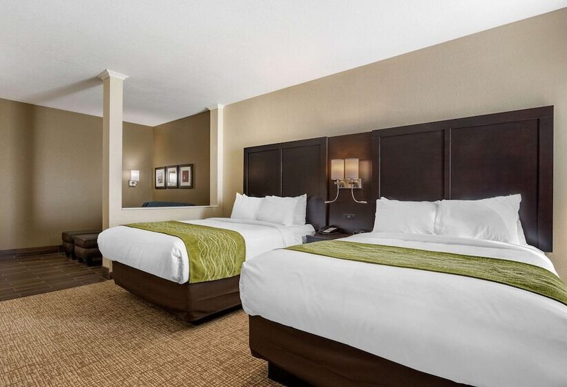 Люкс Адаптированный для Инвалидов, Comfort Inn & Suites Cedar Rapids Cid Eastern Iowa Airport