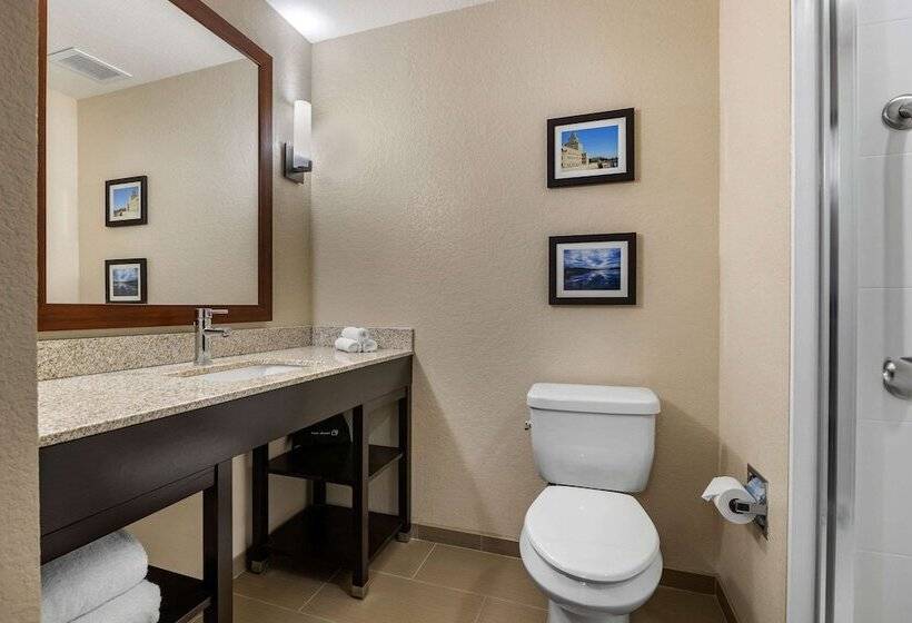 Люкс, Comfort Inn & Suites Cedar Rapids Cid Eastern Iowa Airport