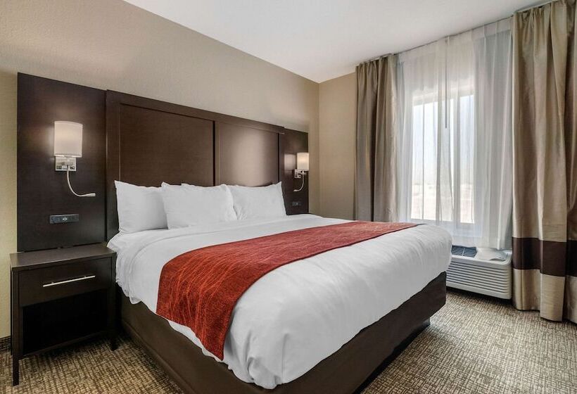 Люкс Адаптированный для Инвалидов, Comfort Inn & Suites Cedar Rapids Cid Eastern Iowa Airport