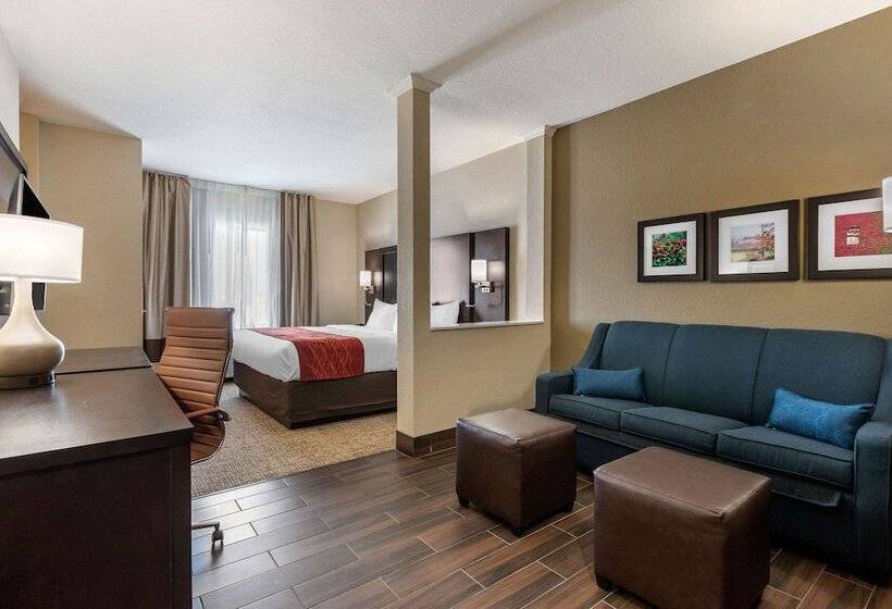 Люкс, Comfort Inn & Suites Cedar Rapids Cid Eastern Iowa Airport