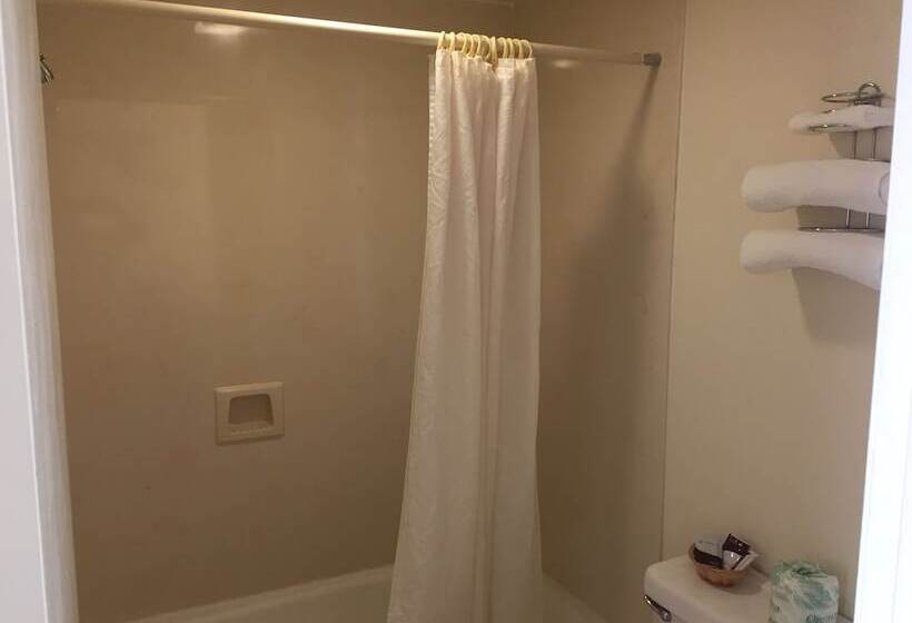 חדר סטנדרט מיטה זוגית, Budget Motel