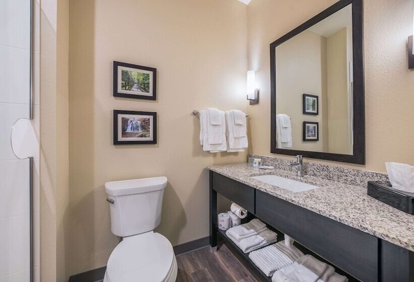 Люкс, Comfort Suites Marysville Columbus  Northwest