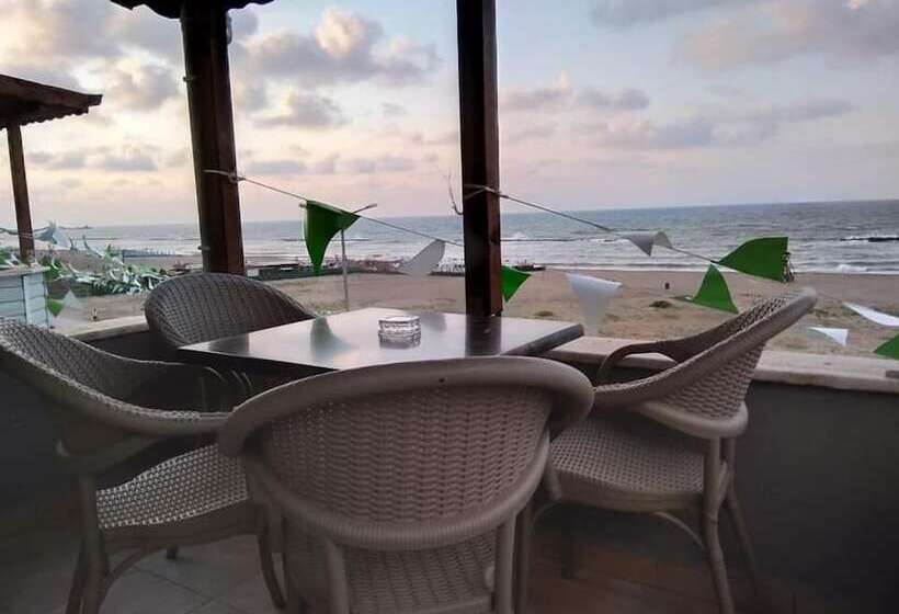 经典套房, Turkuaz Otel