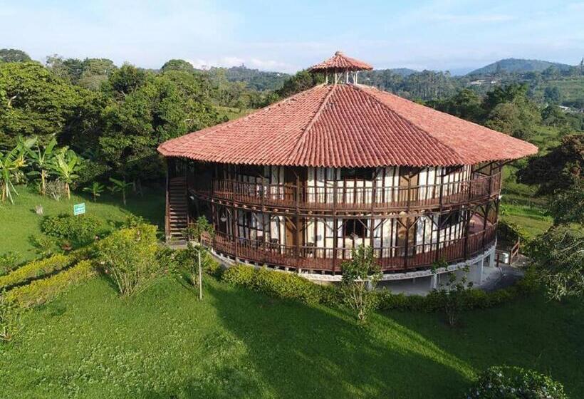 Номер Стандарт Трехместный, San Agustin Internacional
