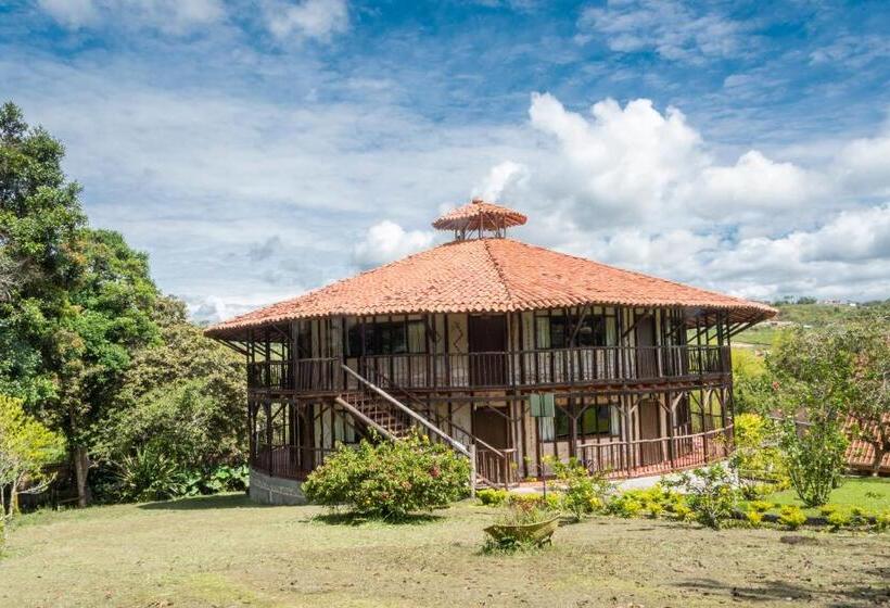 Номер Стандарт Индивидуальный, San Agustin Internacional