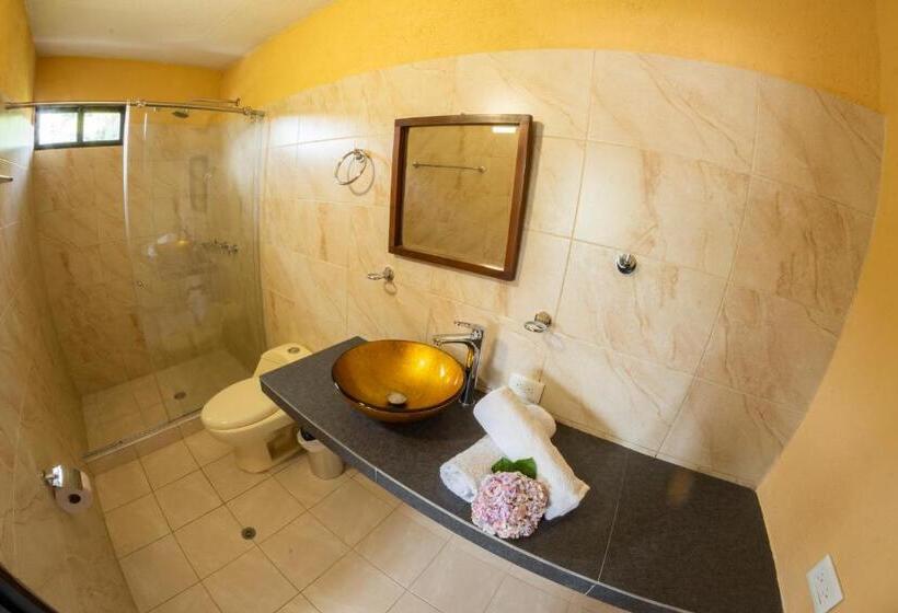 Номер Deluxe, San Agustin Internacional