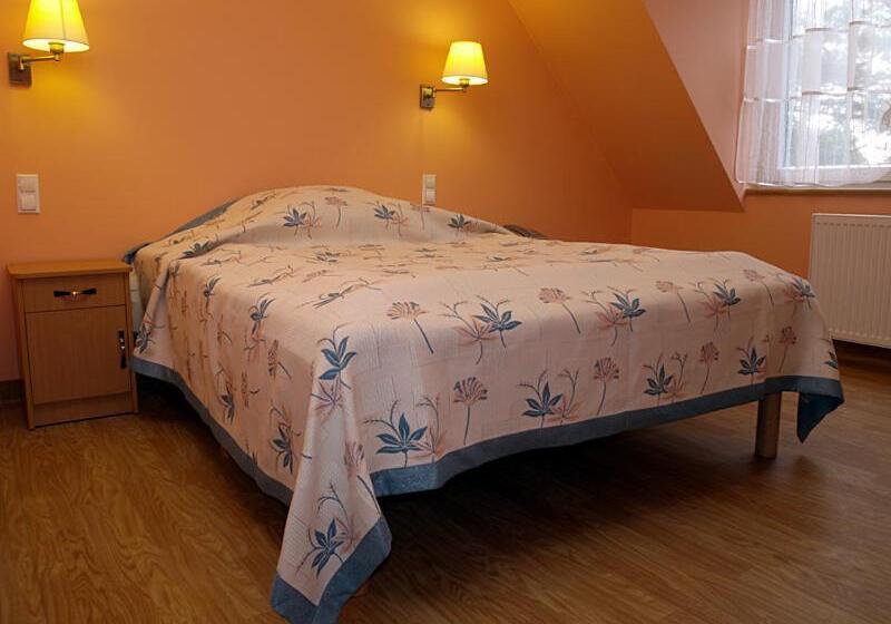 Стандартный Номер Кровать Кинг, Zdrowotel łeba